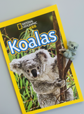 National Geographic Kids book about koalas on a gray background