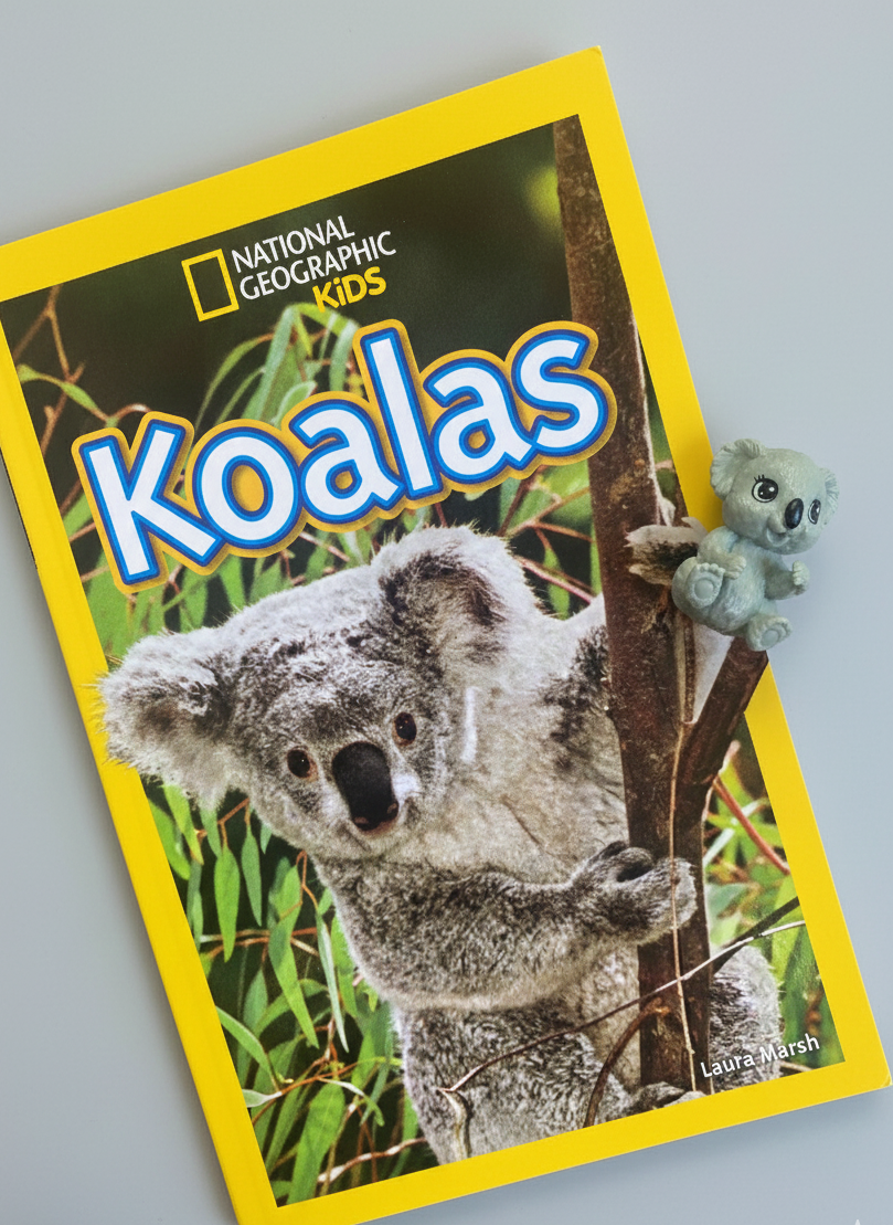 National Geographic Kids book about koalas on a gray background