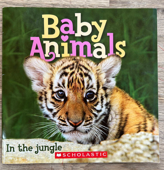 Baby Animals - In the Jungle
