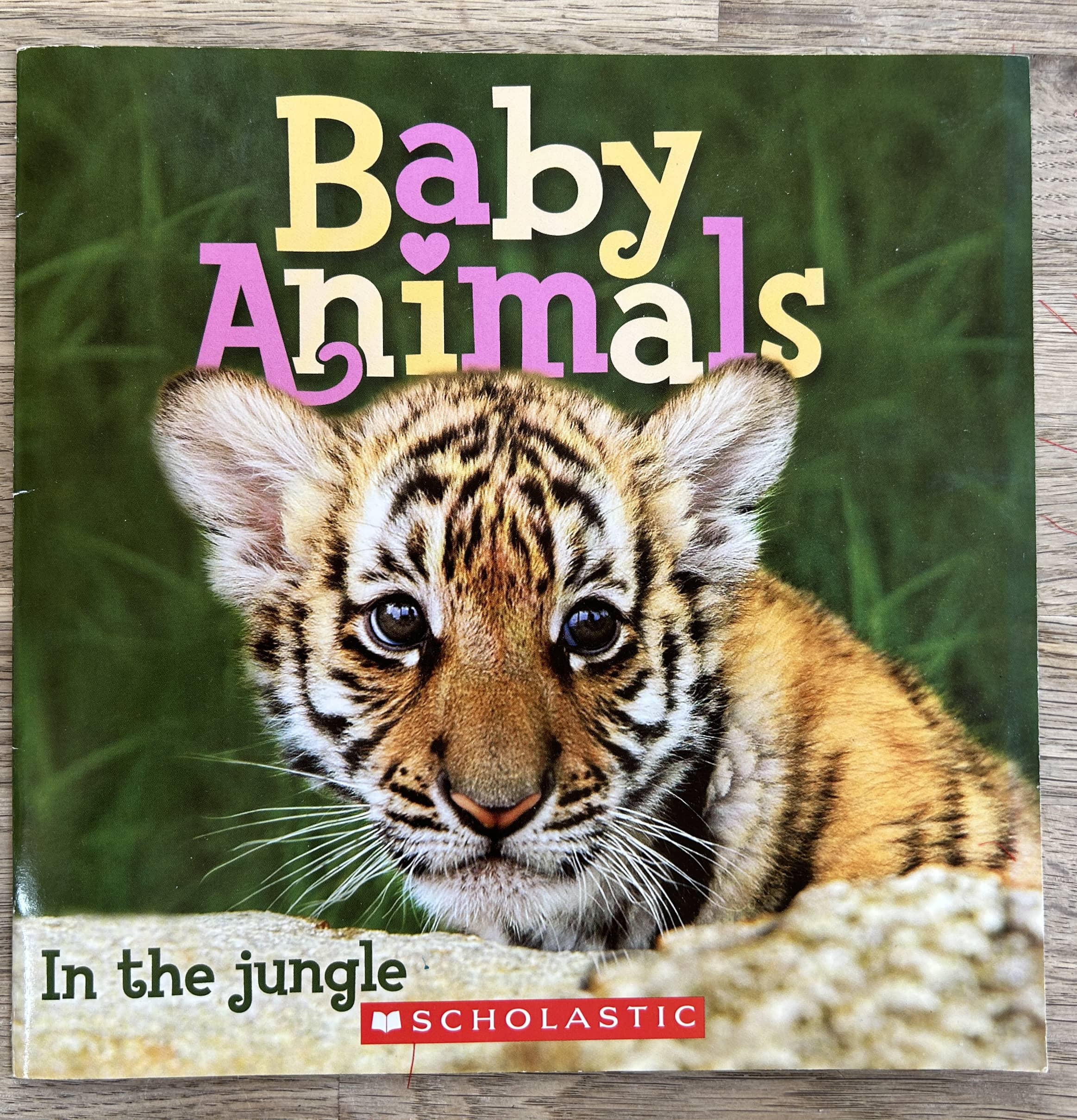 Baby Animals - In the Jungle