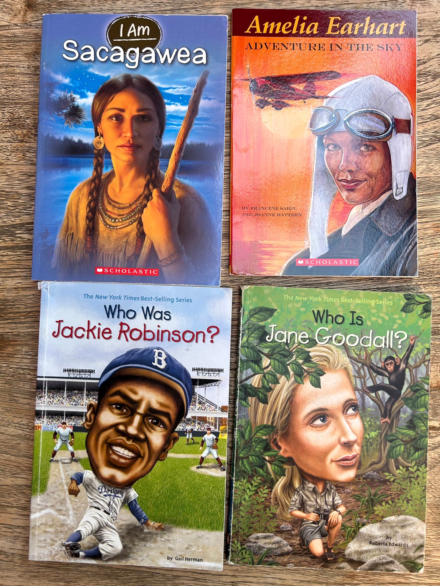 Biography Book Bundle - Sacagawea, Amelia Earhart, Jackie Robinson, Jane Goodall (Pre-Loved)