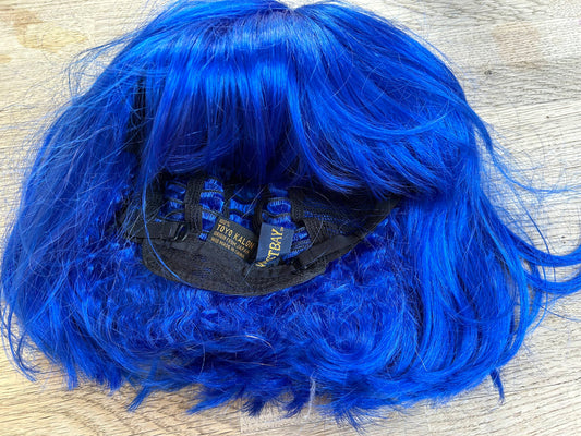 Blue Wig (Pre-Loved) Child