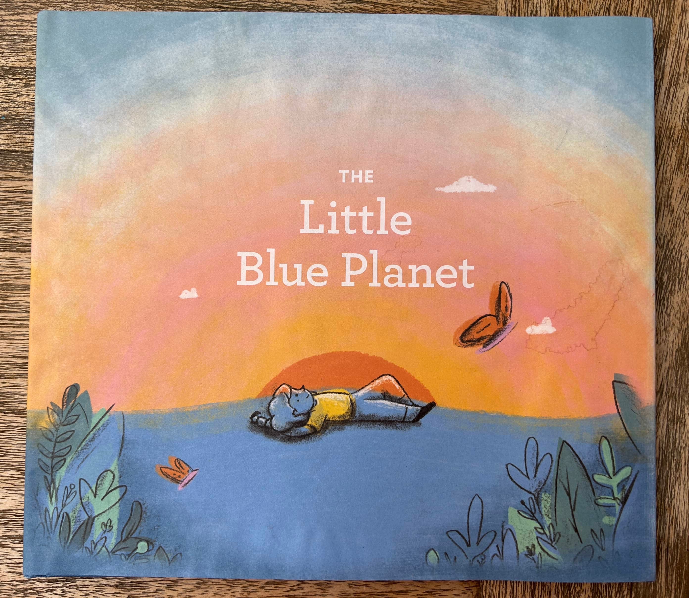 The Little Blue Planet (Hardcover) ok condition