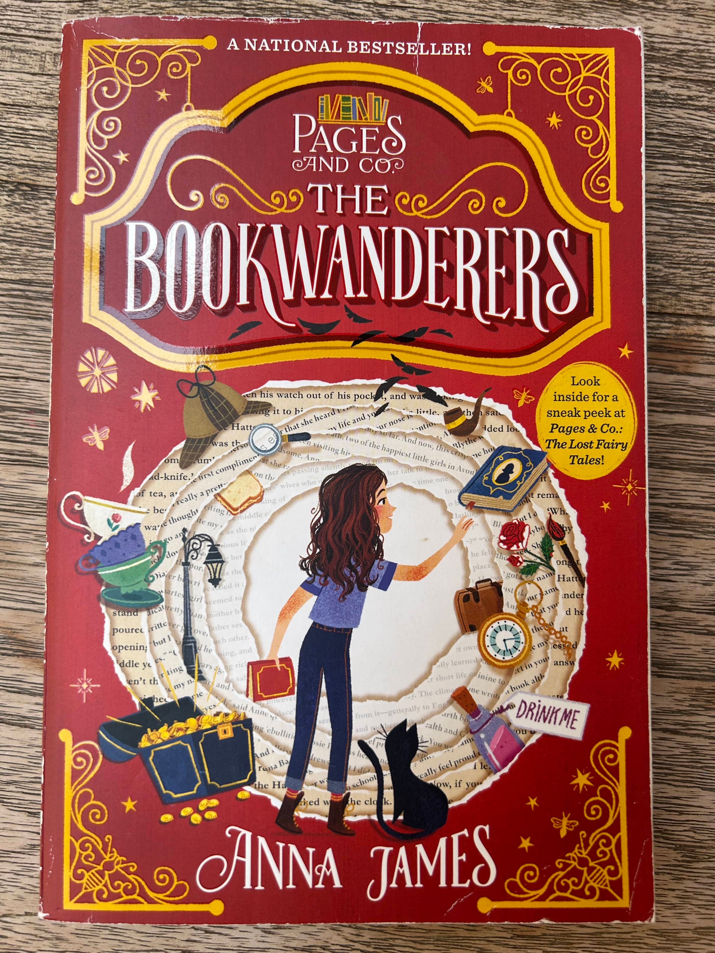 Pages And Co. - The Book Wanderers - Anna James