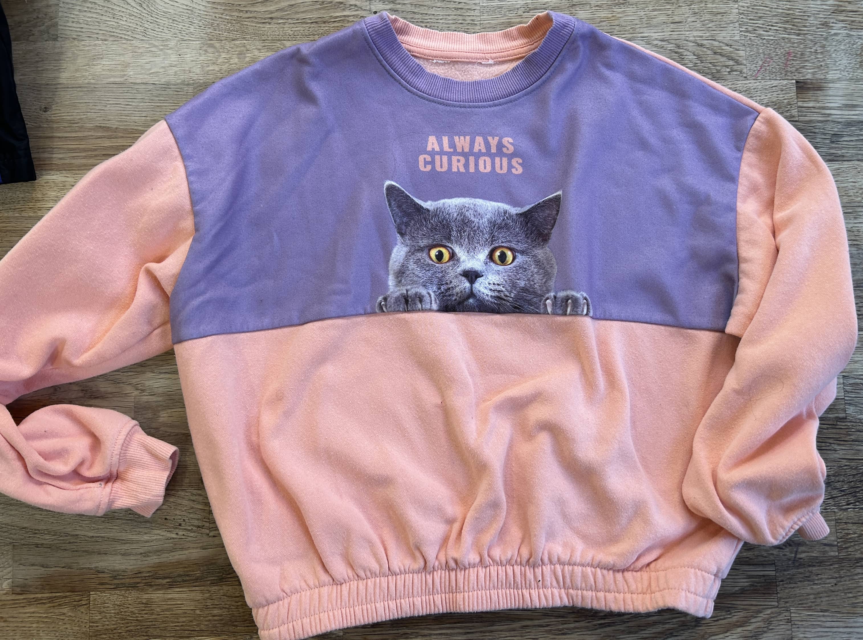 Sweatshirt | Always Curious - Pink & Purple Cat Sweatshirt (Pre-Loved) Size 14/16 - H&M
