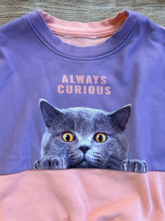 Alway Curious - Pink & Purple Cat Sweatshirt (Pre-Loved) Size 14/16 - H&M