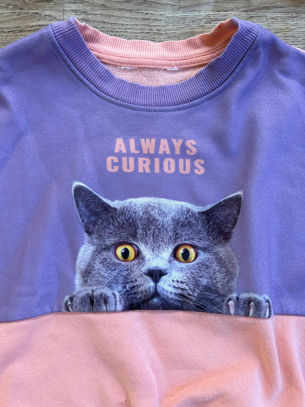Sweatshirt | Always Curious - Pink & Purple Cat Sweatshirt (Pre-Loved) Size 14/16 - H&M