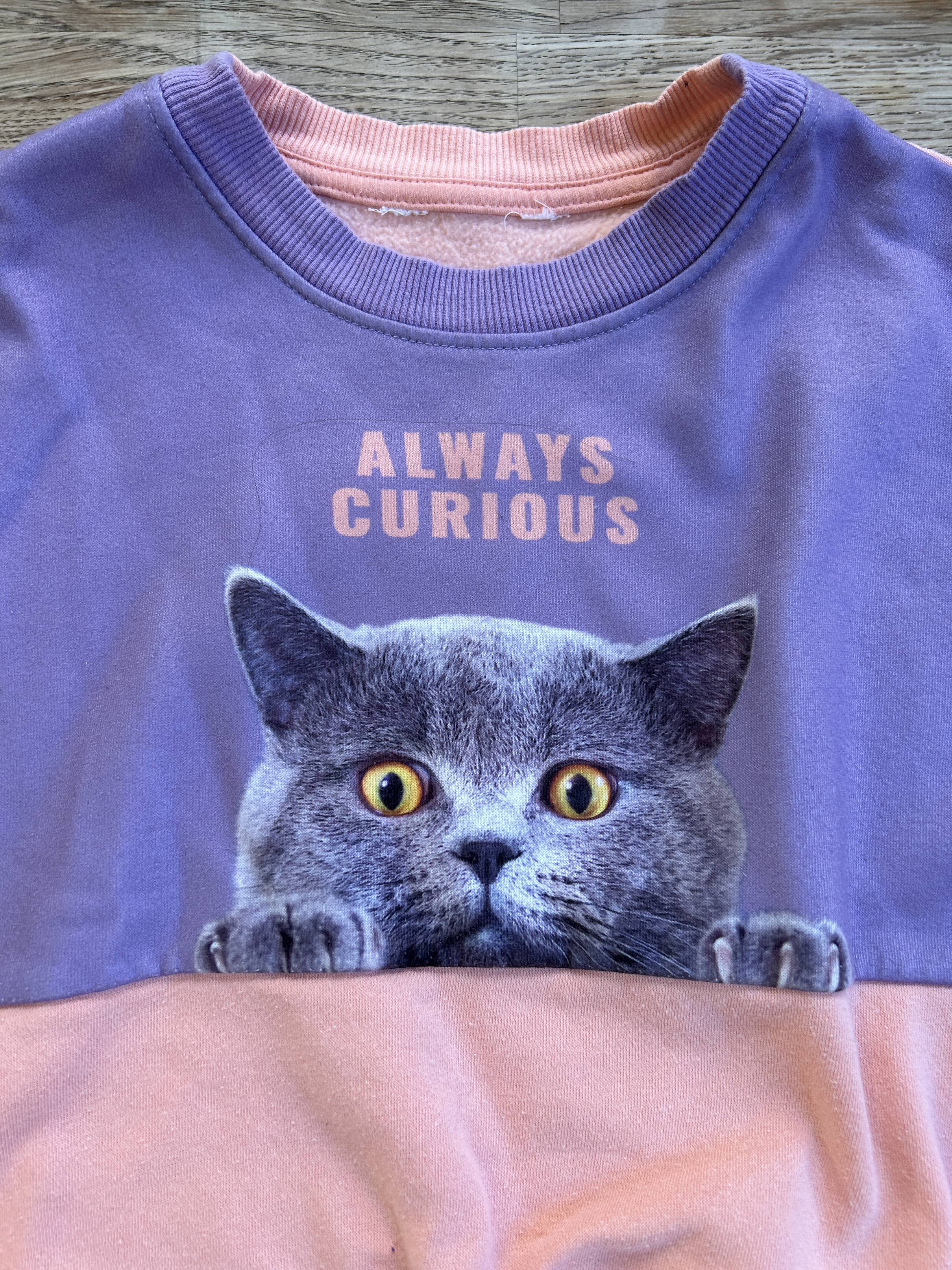 Sweatshirt | Always Curious - Pink & Purple Cat Sweatshirt (Pre-Loved) Size 14/16 - H&M
