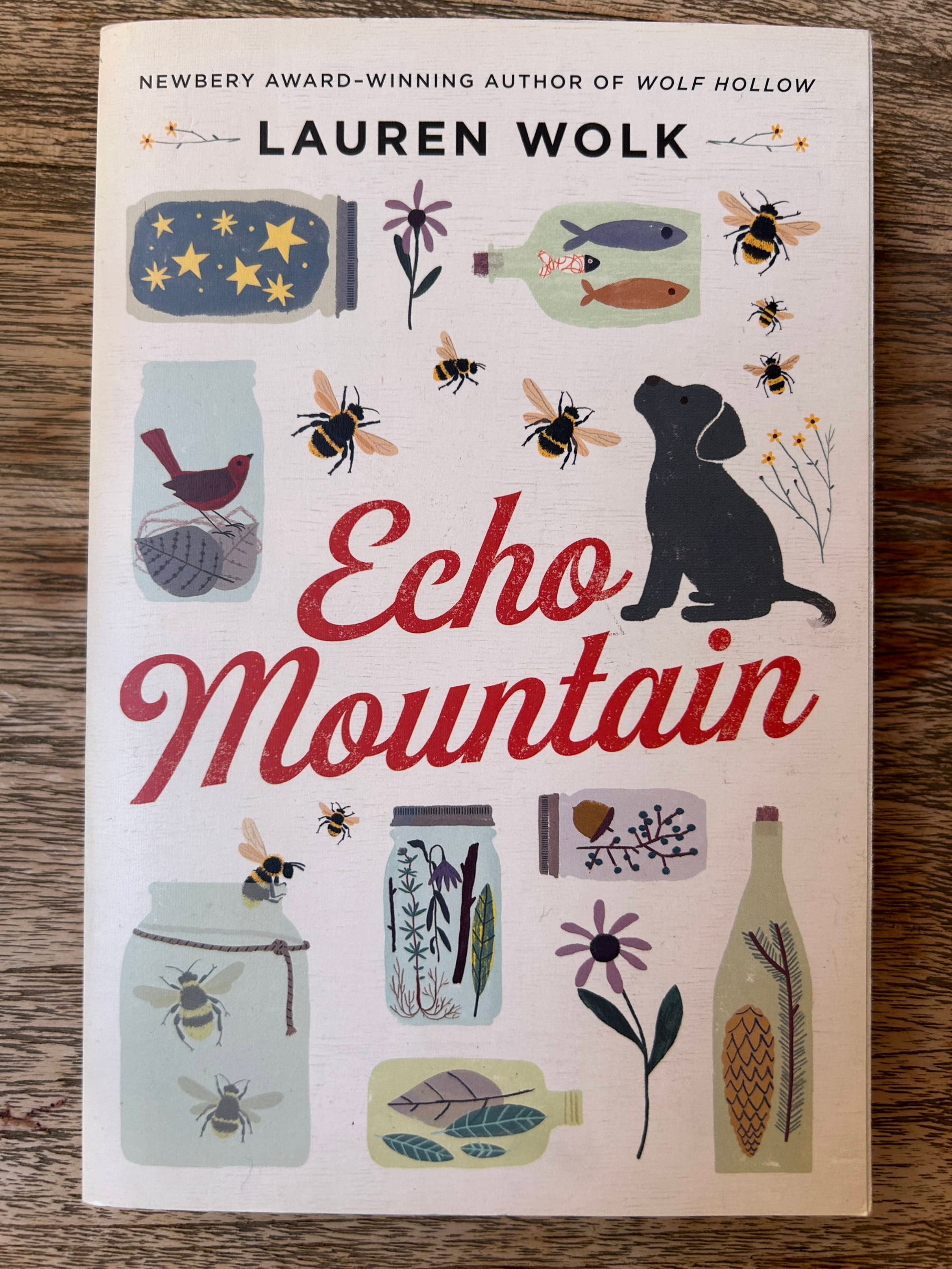 Echo Mountain - Lauren Wolk