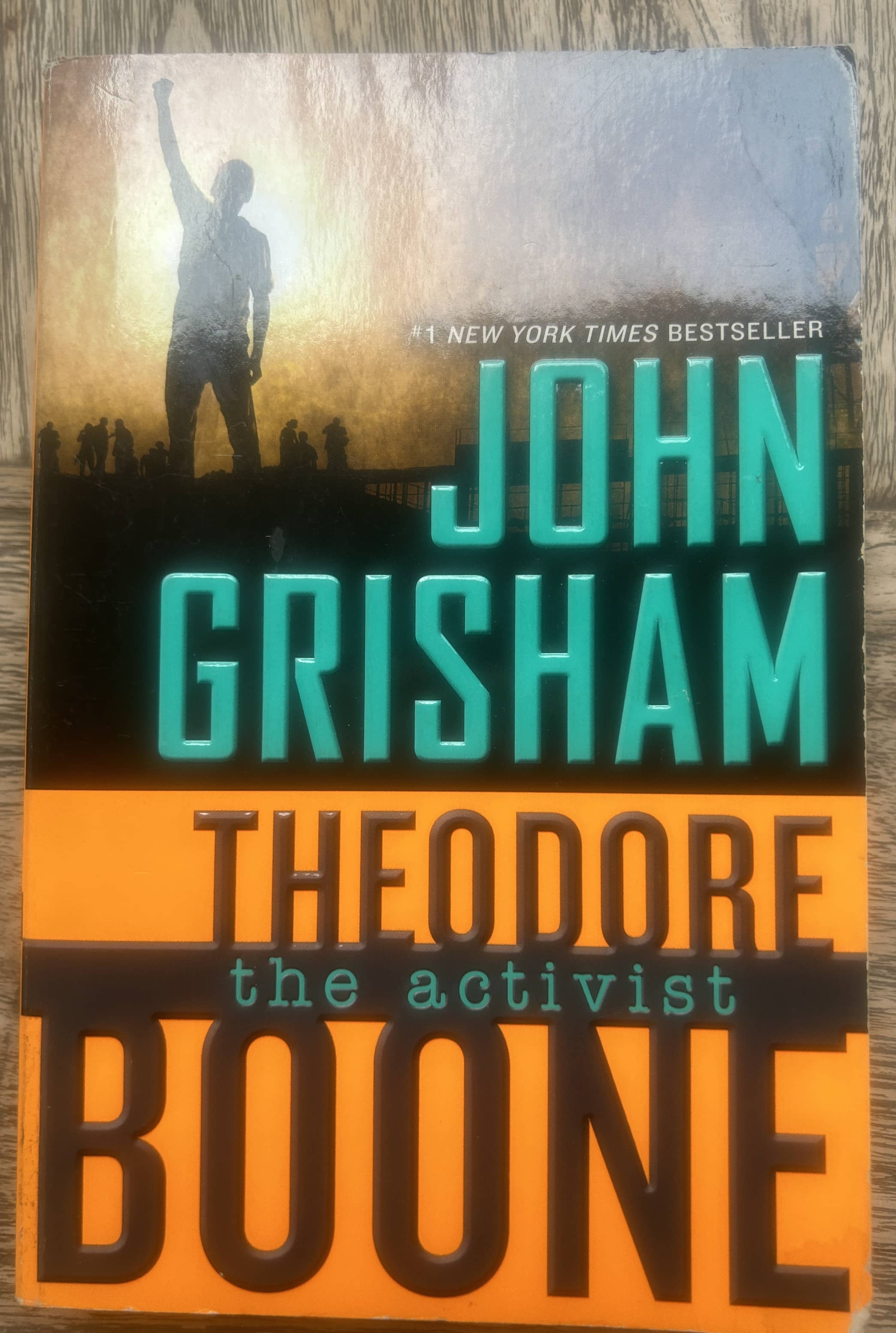John Grisham - Theodore Boone - the activist