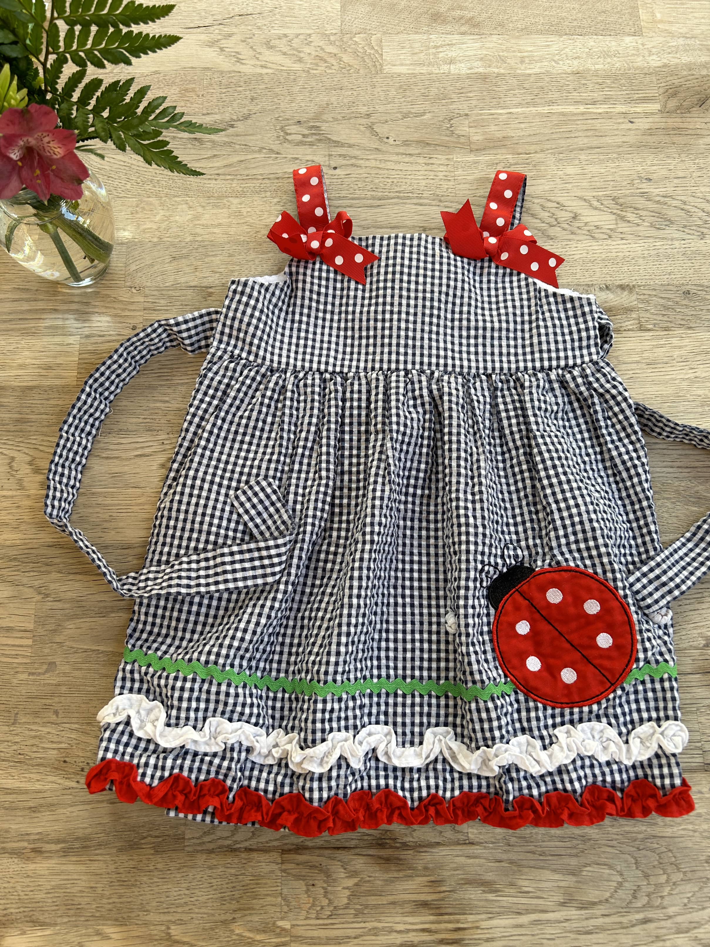 Black Gingham Ladybug Dress (Pre-Loved) Size 24 Months - Rare Too