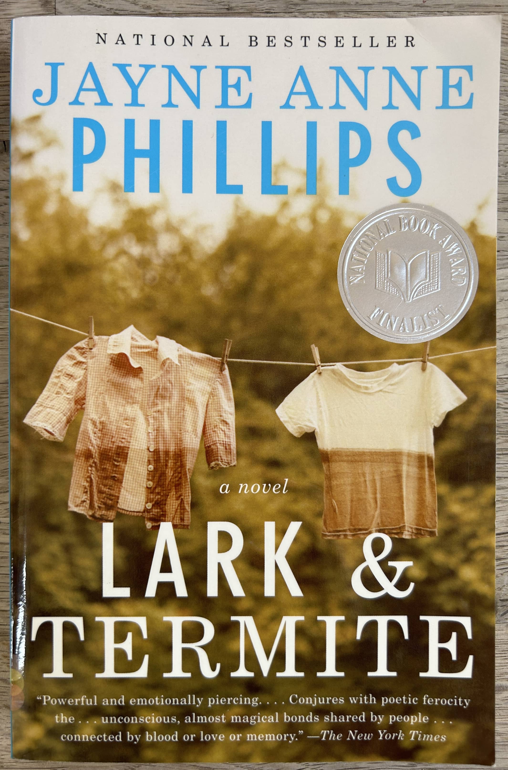 Lark & Termite - Jayne Anne Phillips