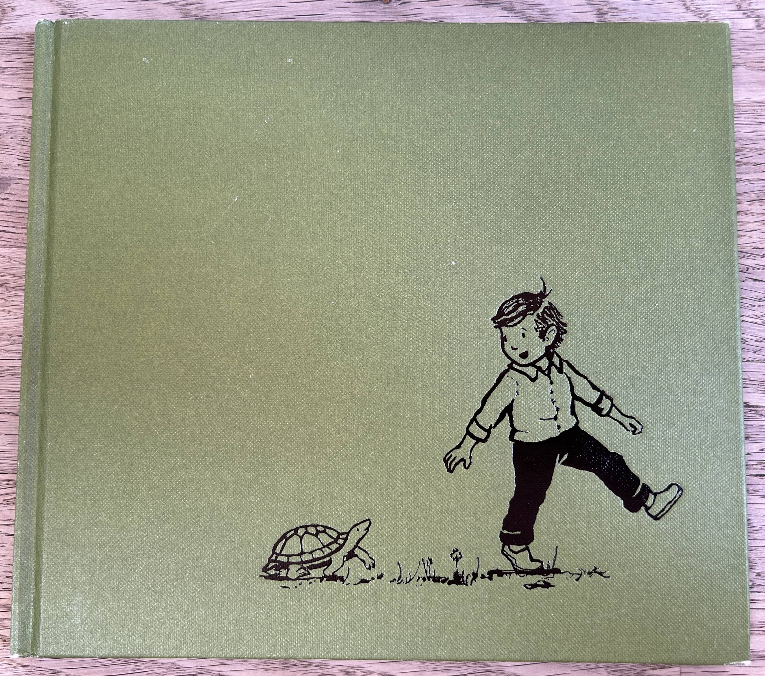 Melvin and the Boy - Lauren Castillo