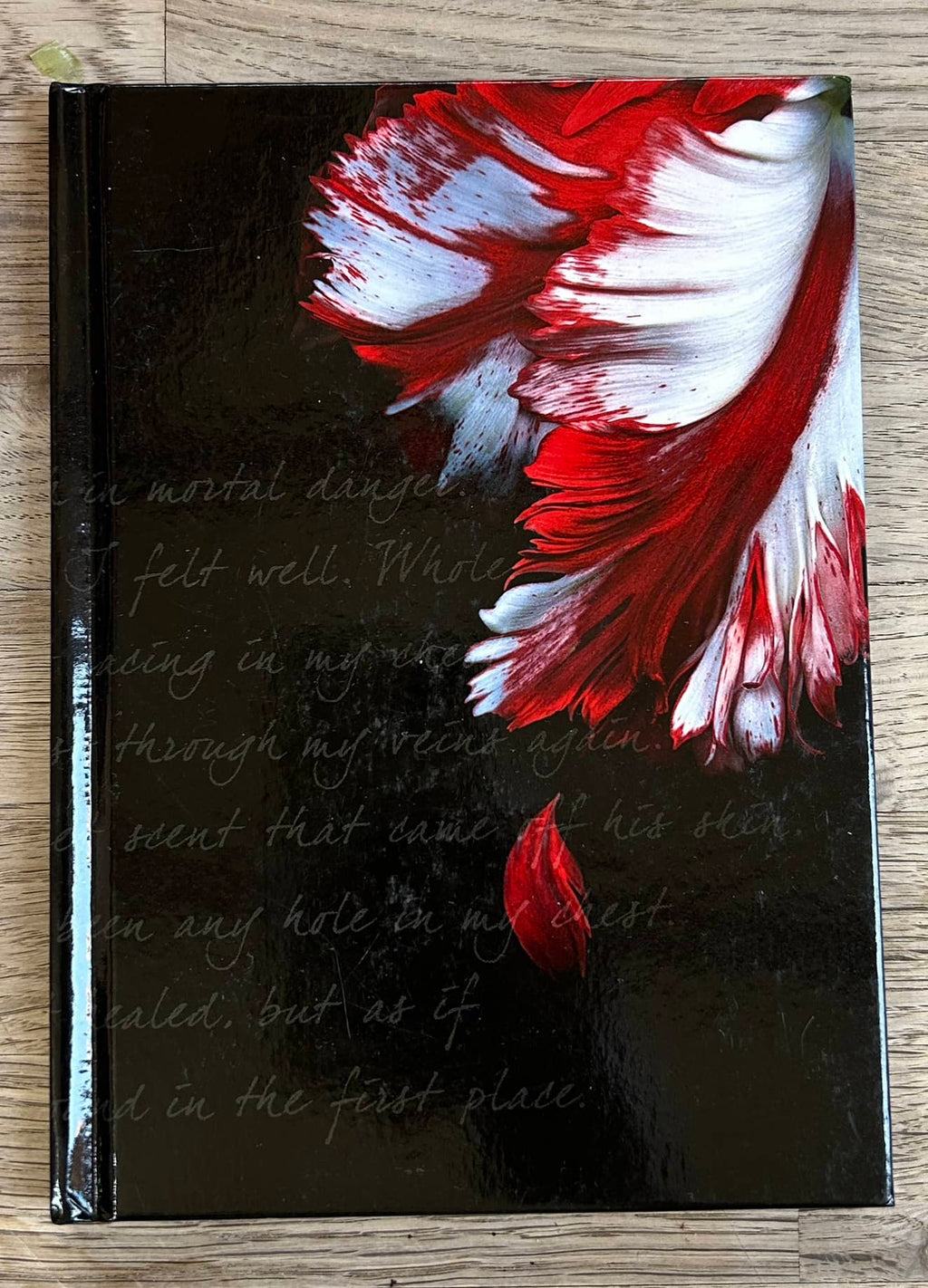 Journal - New Moon - Twilight Series