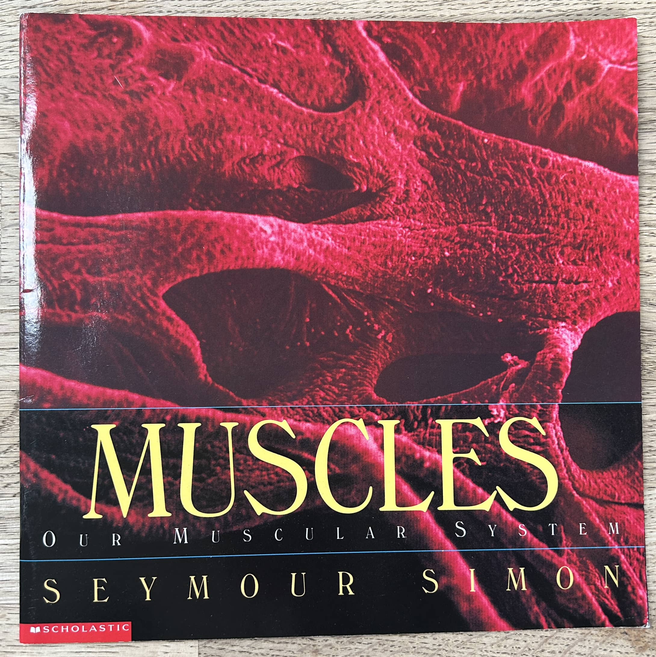 Muscles - Our Muscular System - Seymour Simon