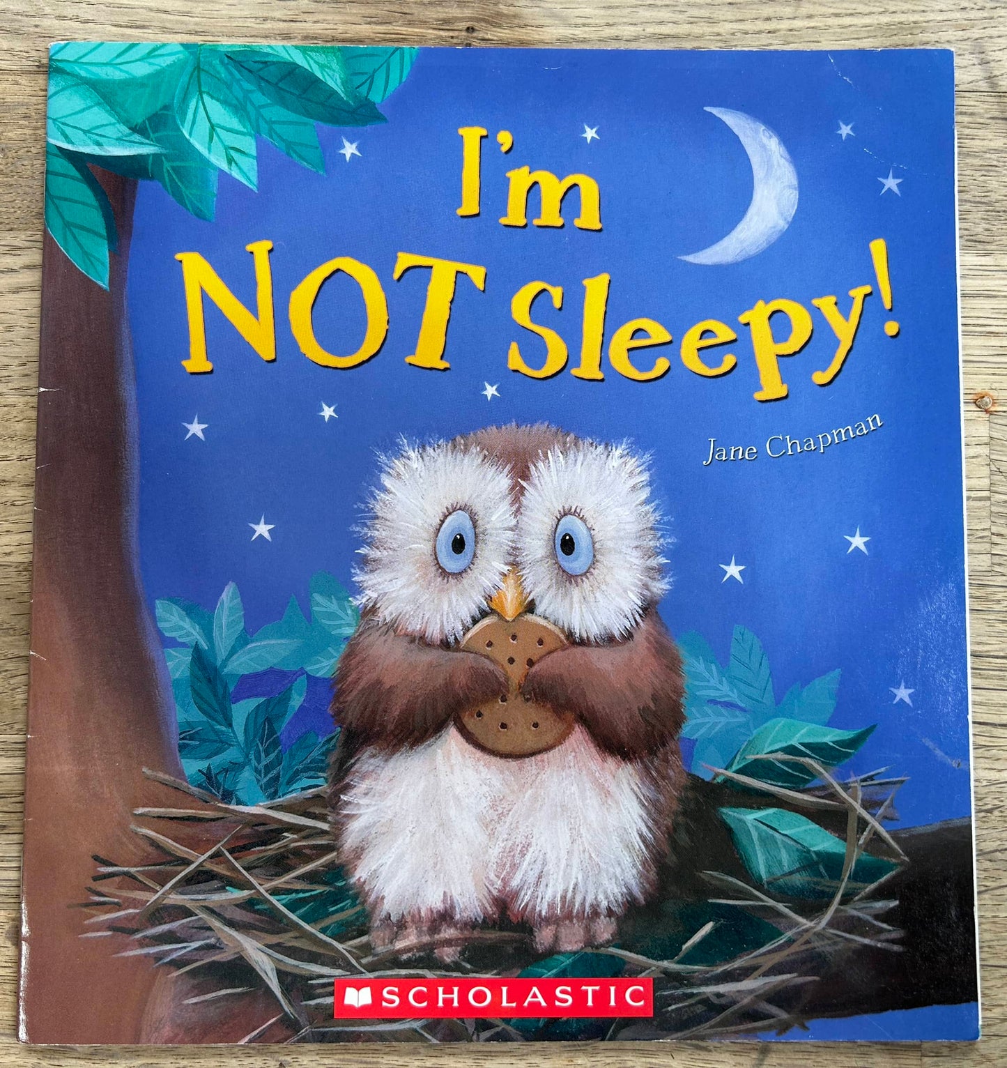 I'm Not Sleepy - Jane Chapman