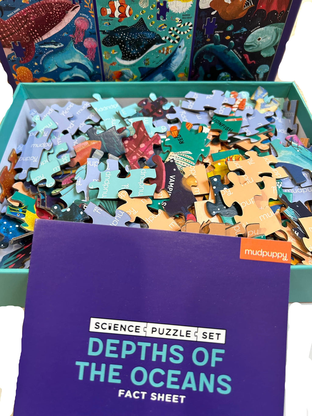 Depths of the Oceans 100 Piece Puzzle Set - 3 Puzzles in 1 - Mudpuppy