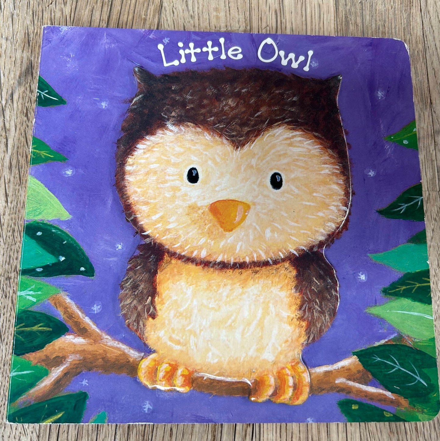 Little Owl