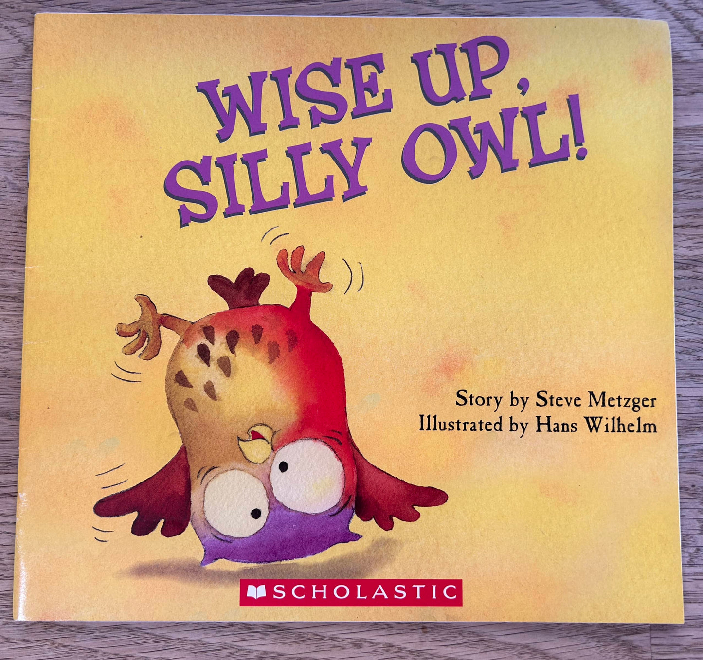 Wise Up,Silly Owl! - Steve Metzger, Hans Wilhelm