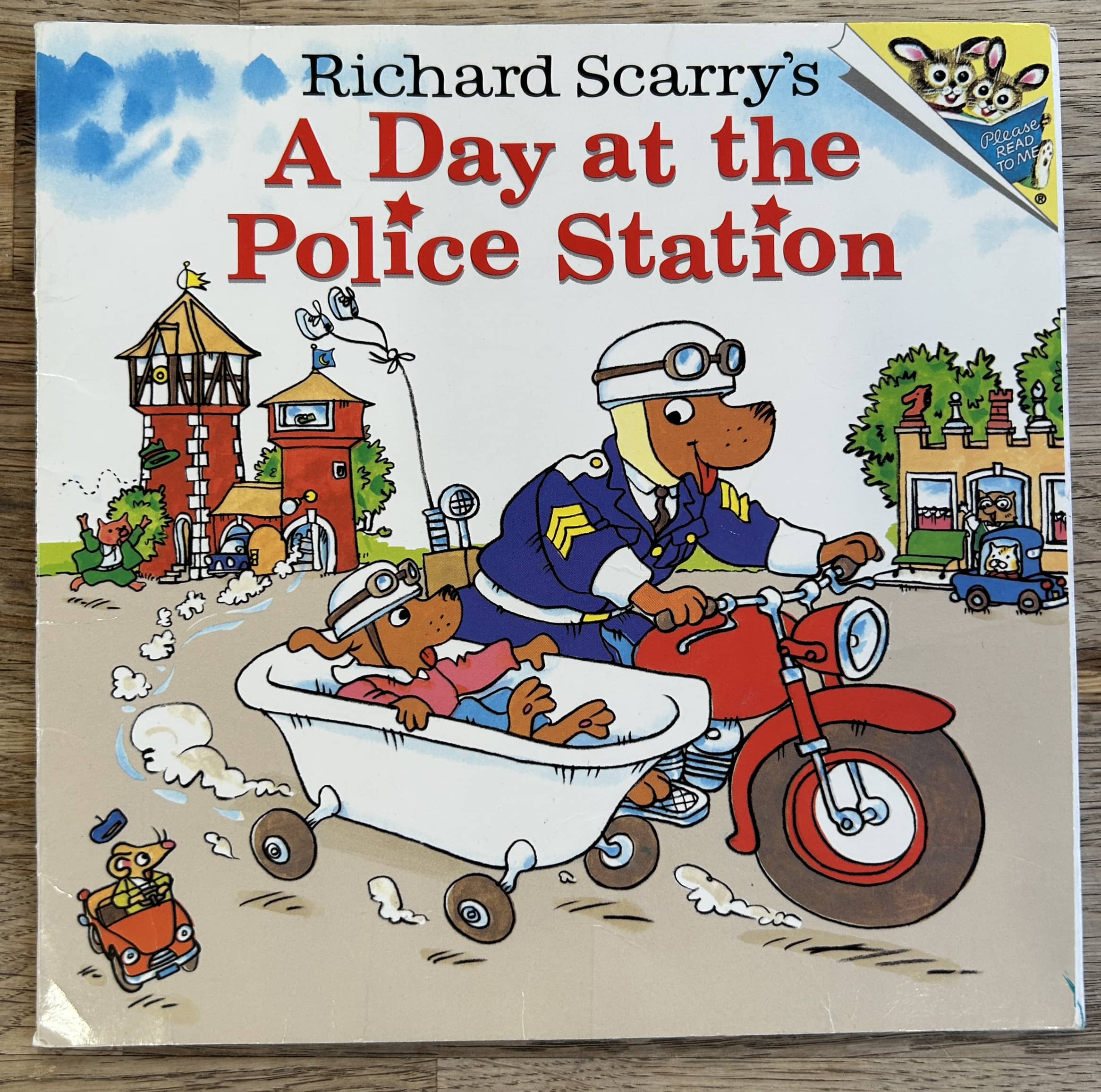 A Day at the Police Station