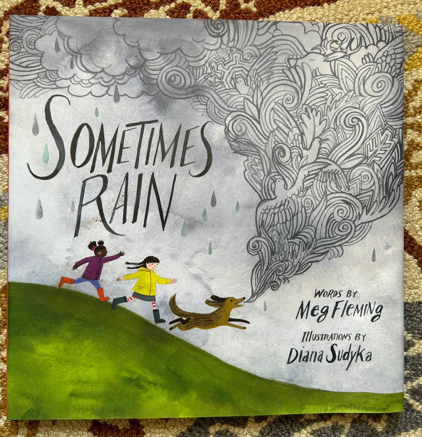 Sometimes Rain - Meg Fleming, Diana Sudyka