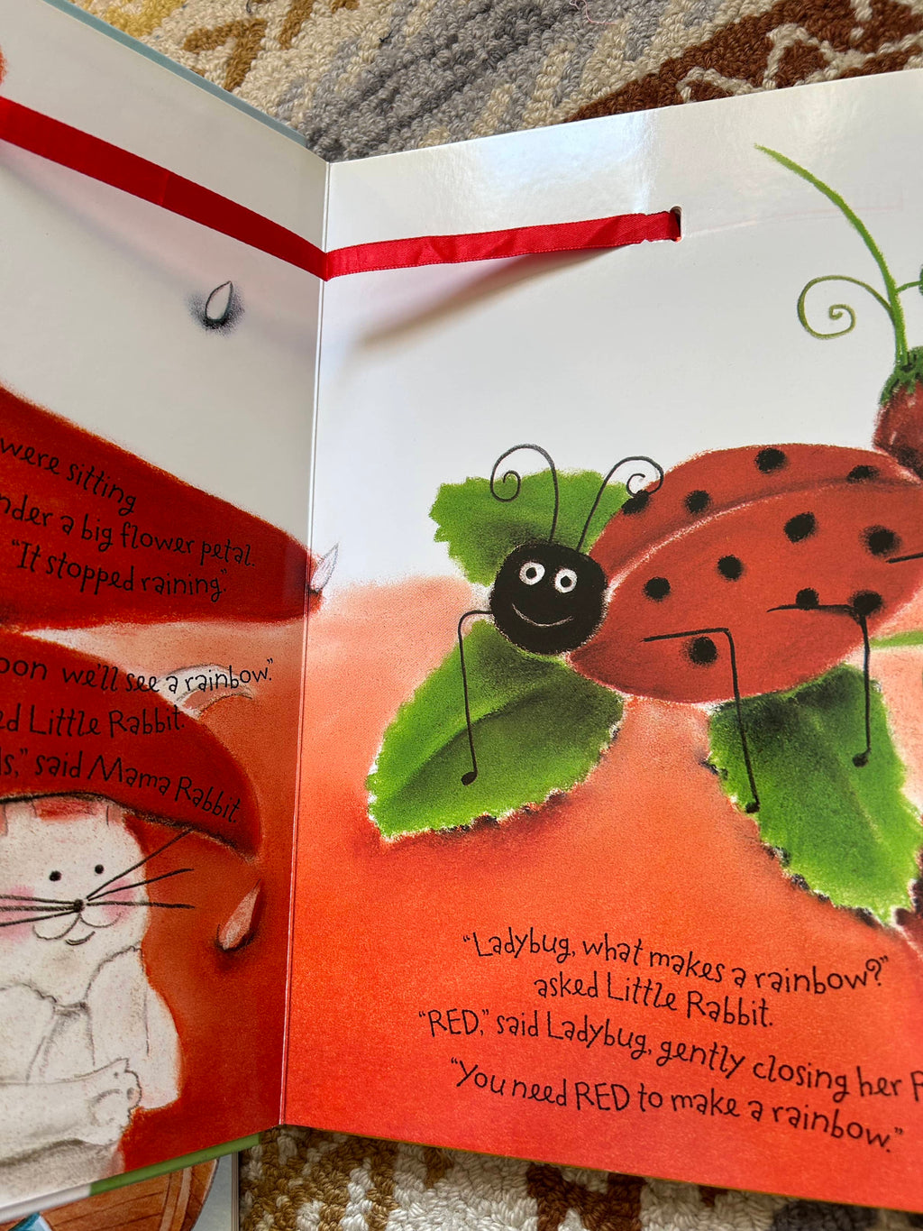 What Makes a Rainbow - Betty Schwartz