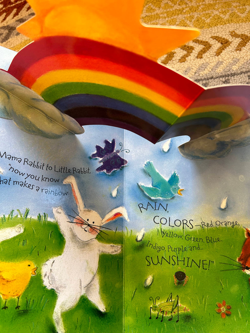 What Makes a Rainbow - Betty Schwartz