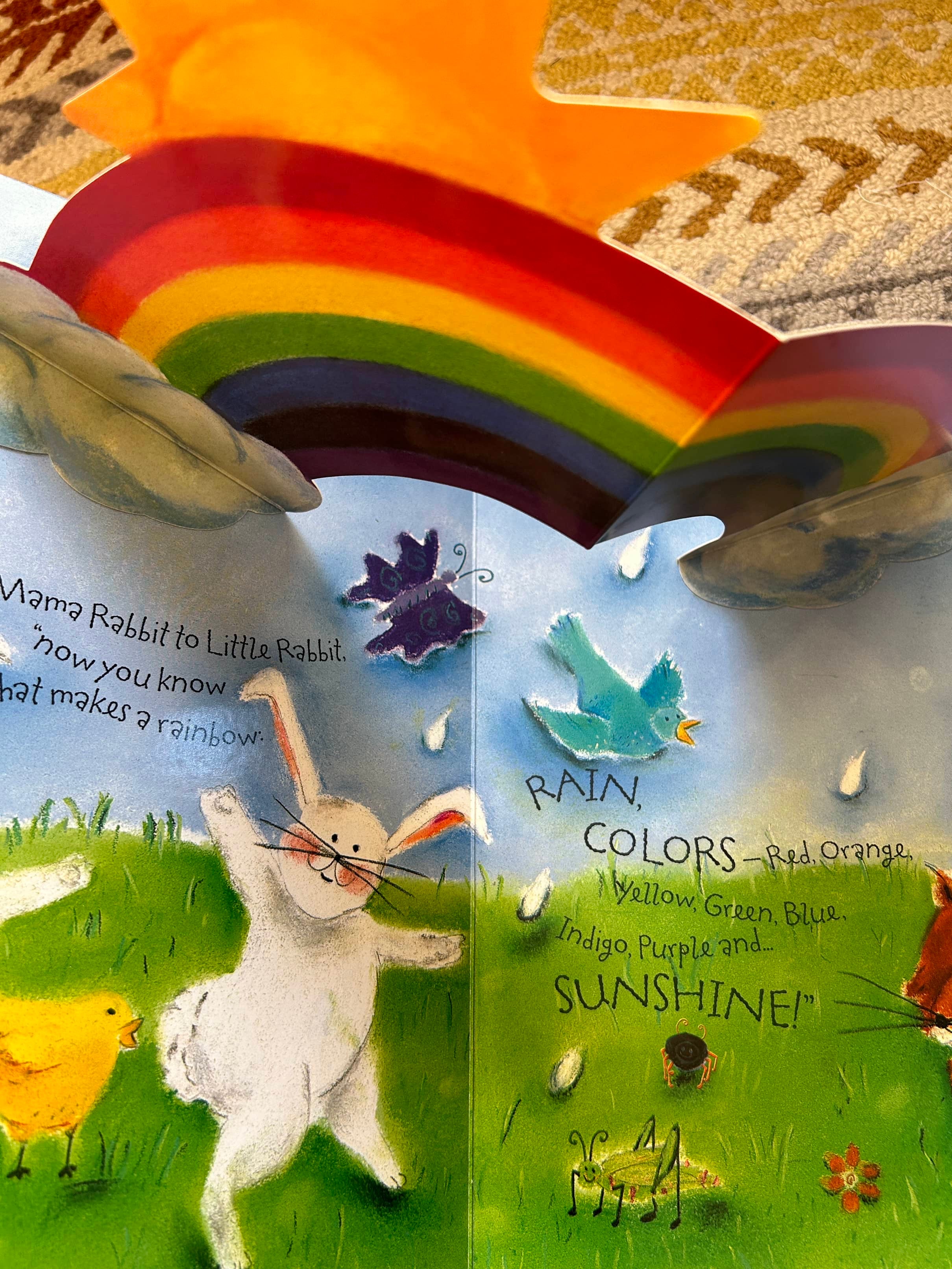 What Makes a Rainbow - Betty Schwartz