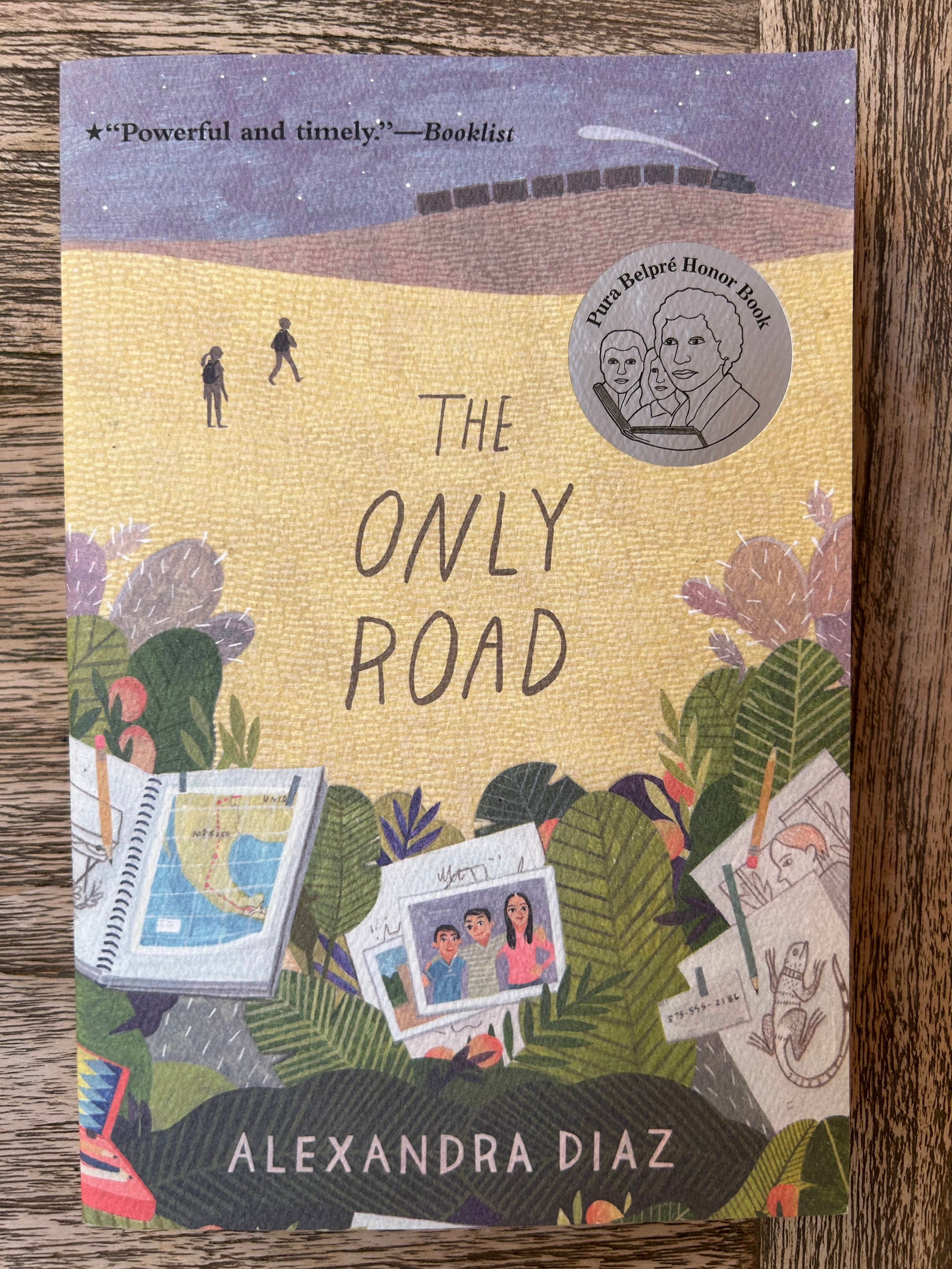 The Only Road - Alexandra Diaz