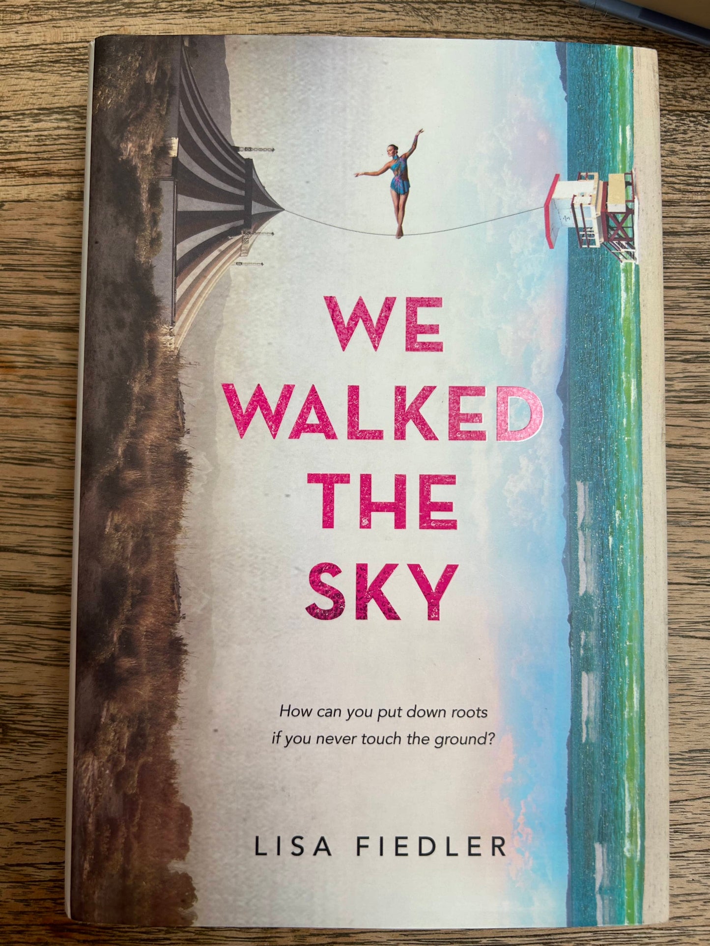 We Walked the Sky - Lisa Giedler