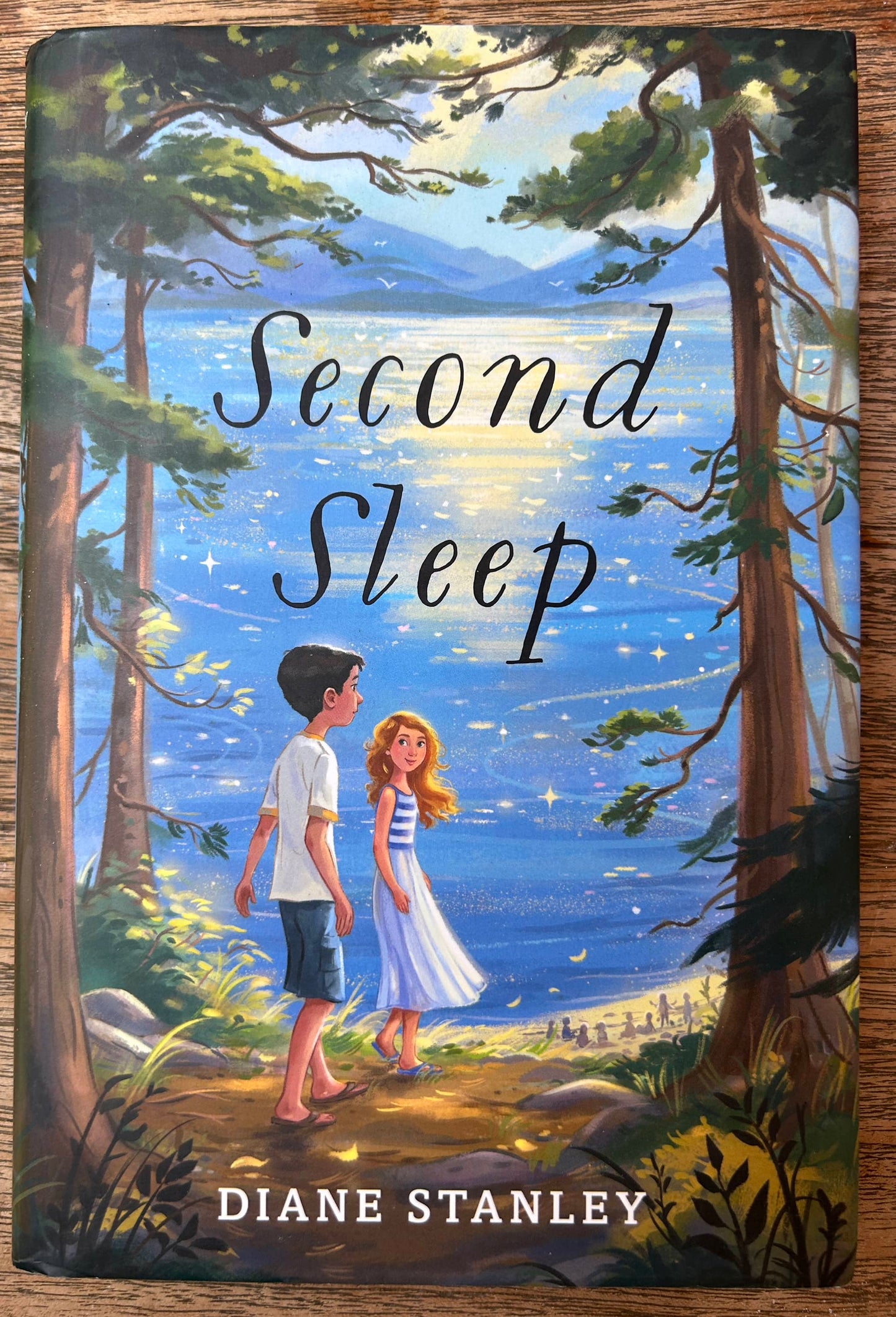 Second Sleep - Diane Stanley