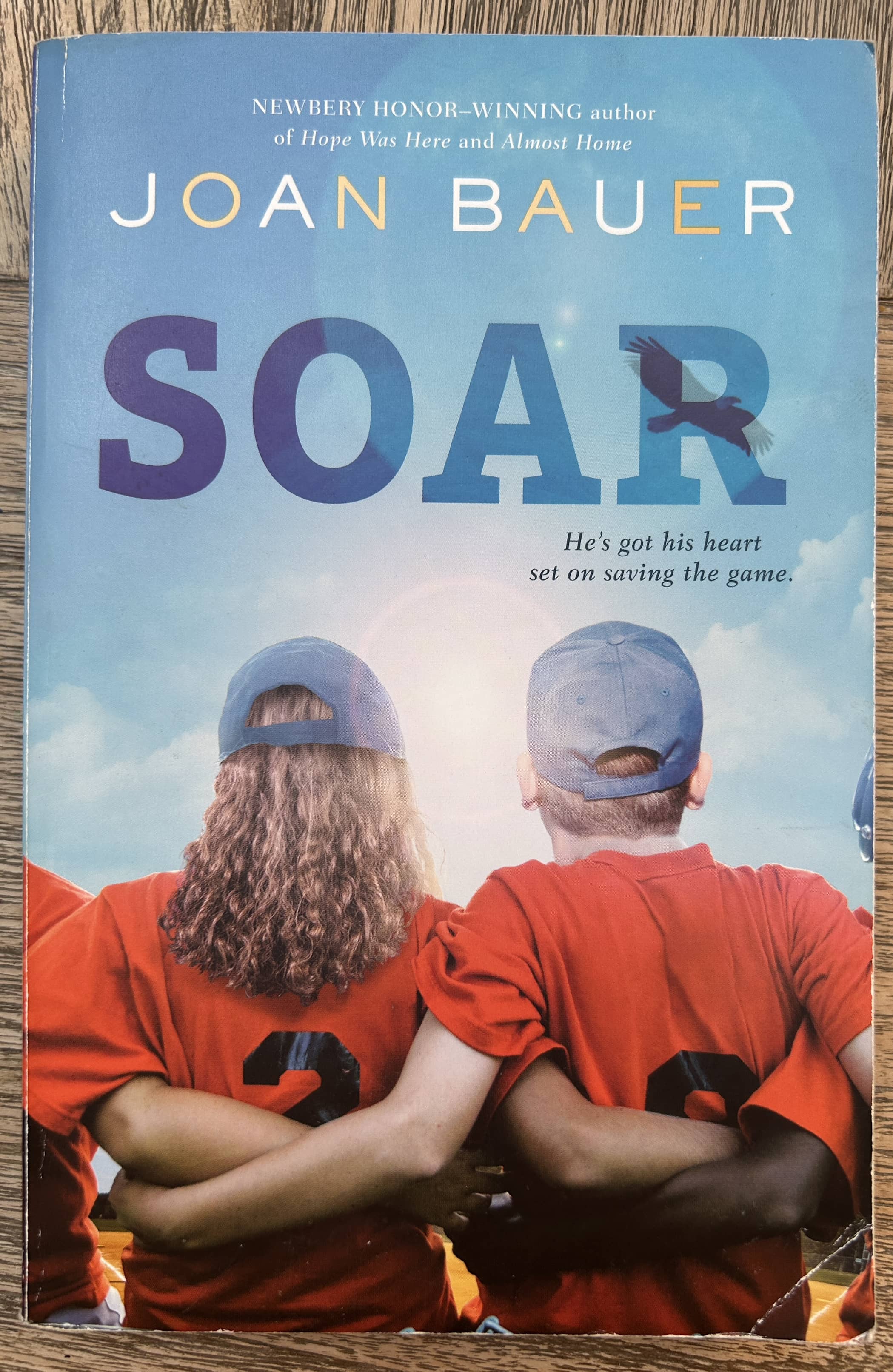 Soar - Joan Bauer