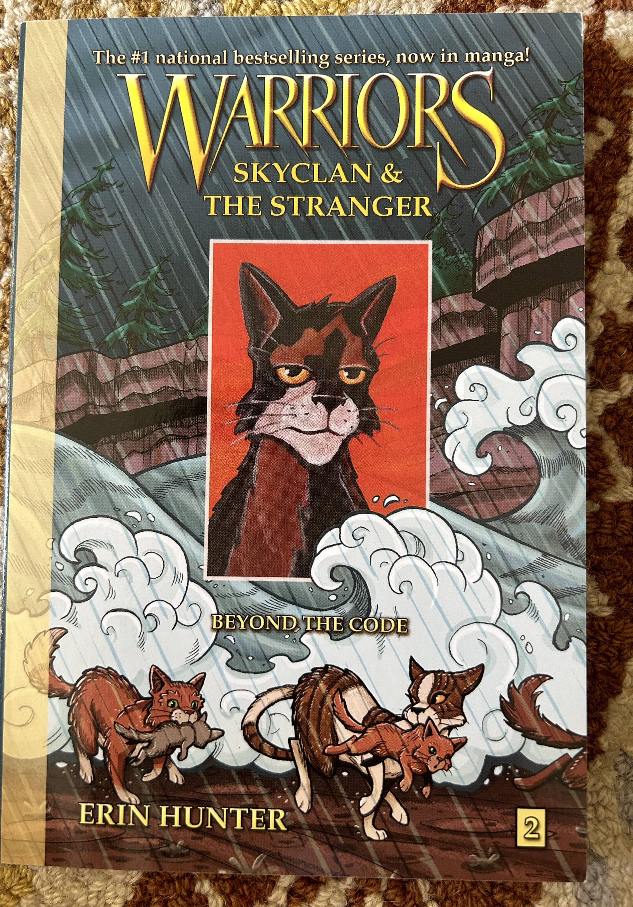 Warriors - Skyclan & the Stranger - Beyond the Code - Book 2 - Erin Hunter