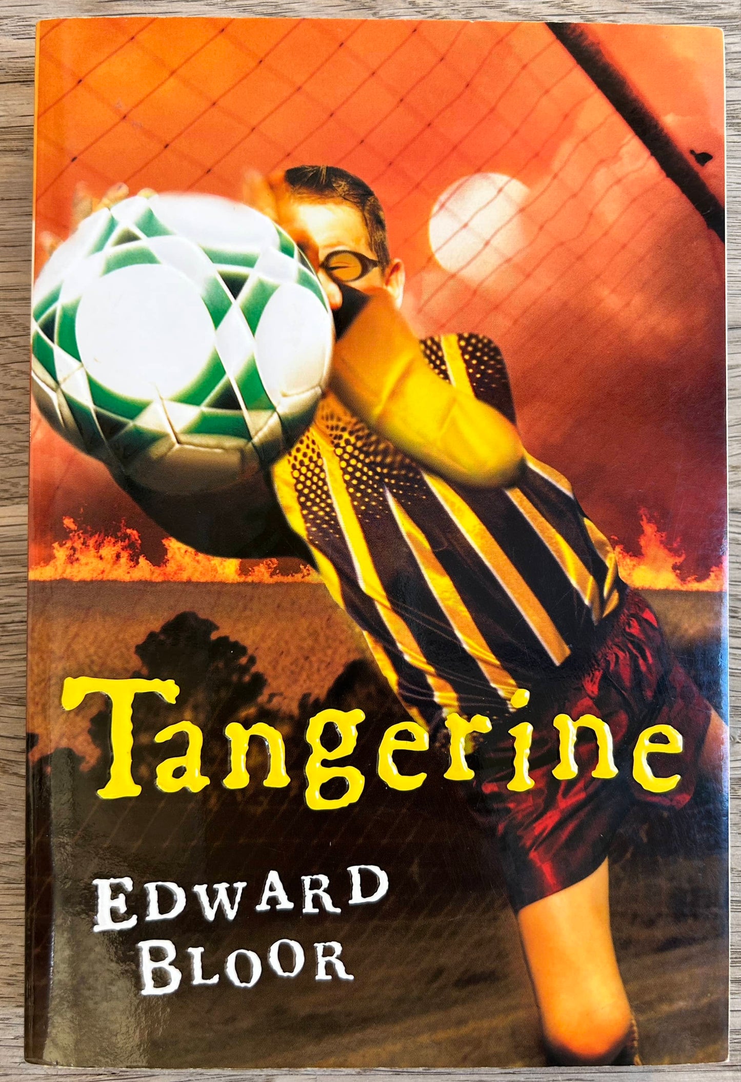 Tangerine - edward Bloor