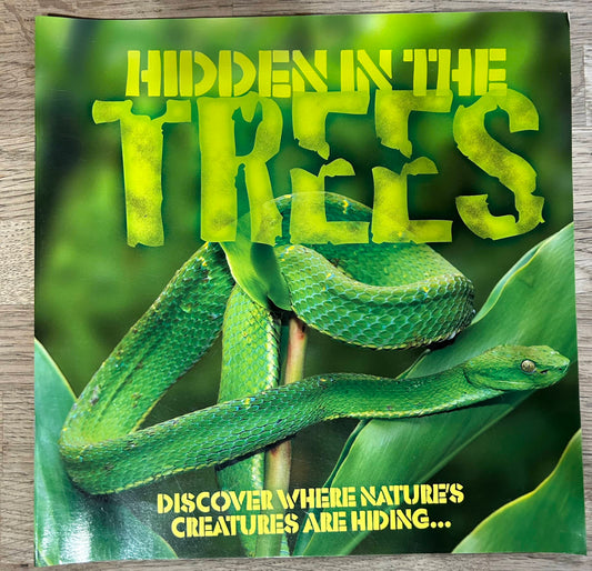 Hidden in the Trees - Discover Where Nature's Creatures are Hiding