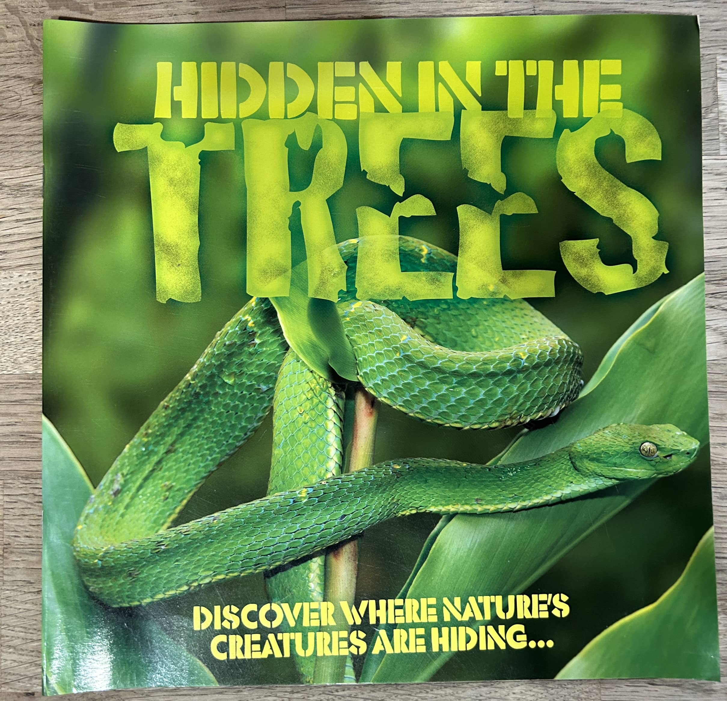 Hidden in the Trees - Discover Where Nature's Creatures are Hiding