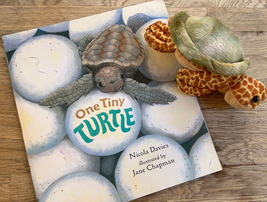 One Tiny Turtle Book Pack - Book + Stuffed Turtle (Pre-Loved)
