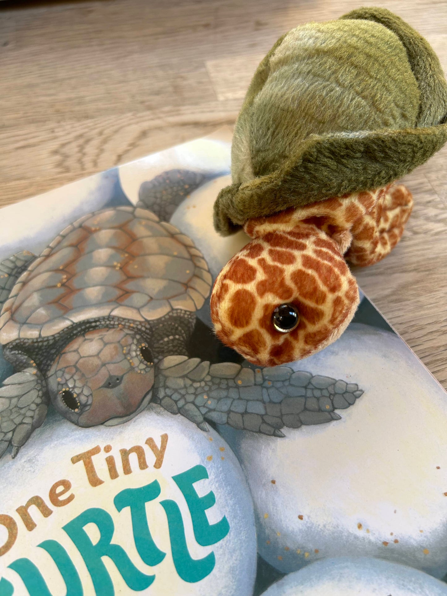 One Tiny Turtle Book Pack - Book + Stuffed Turtle (Pre-Loved)