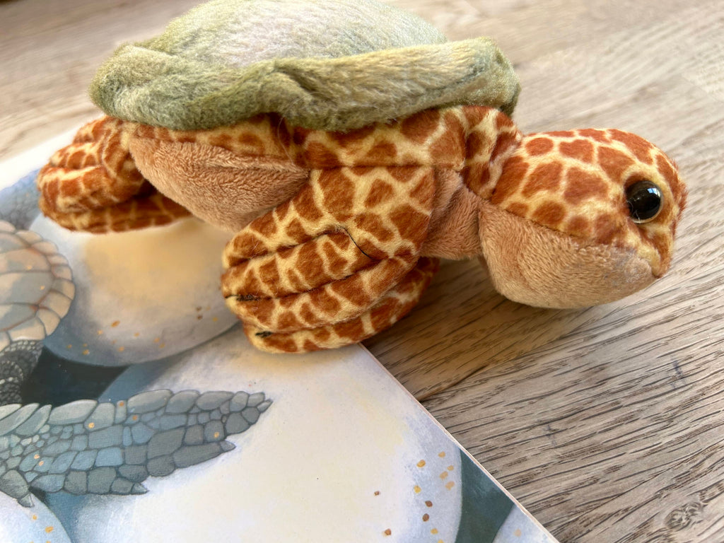 One Tiny Turtle Book Pack - Book + Stuffed Turtle (Pre-Loved)