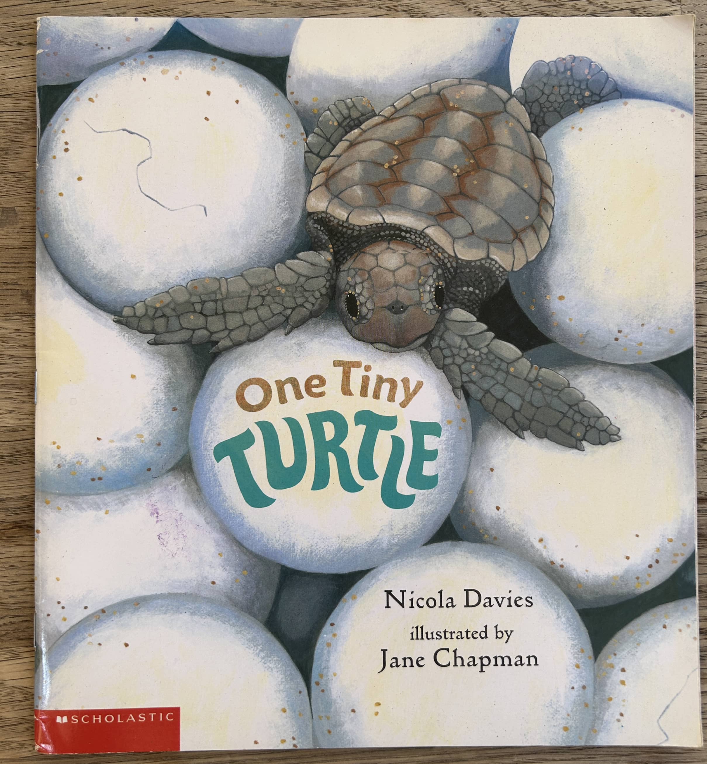 One Tiny Turtle Book Pack - Book + Stuffed Turtle (Pre-Loved)