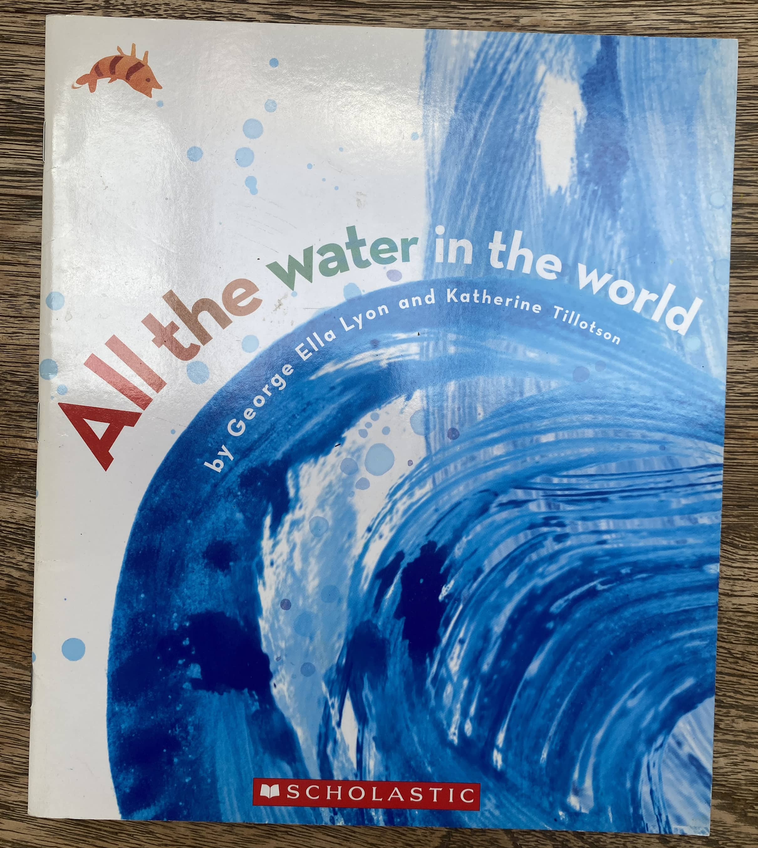 All the Water in the World - George Ella Lyon, Katherine Tillotson