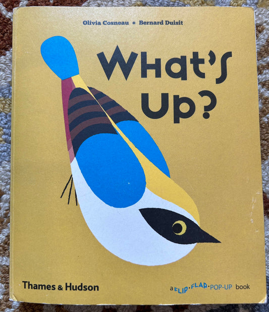 What's Up? - a Flip Flap Pop Up Book - Thames & Hudson - Olivia Cosneau, Bernard Duisit