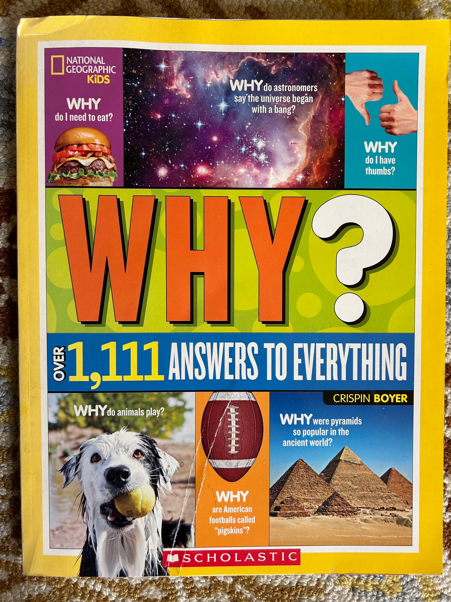 Why? Over 1,111 Answers to Everything - Crispin Boyer - National Geographic