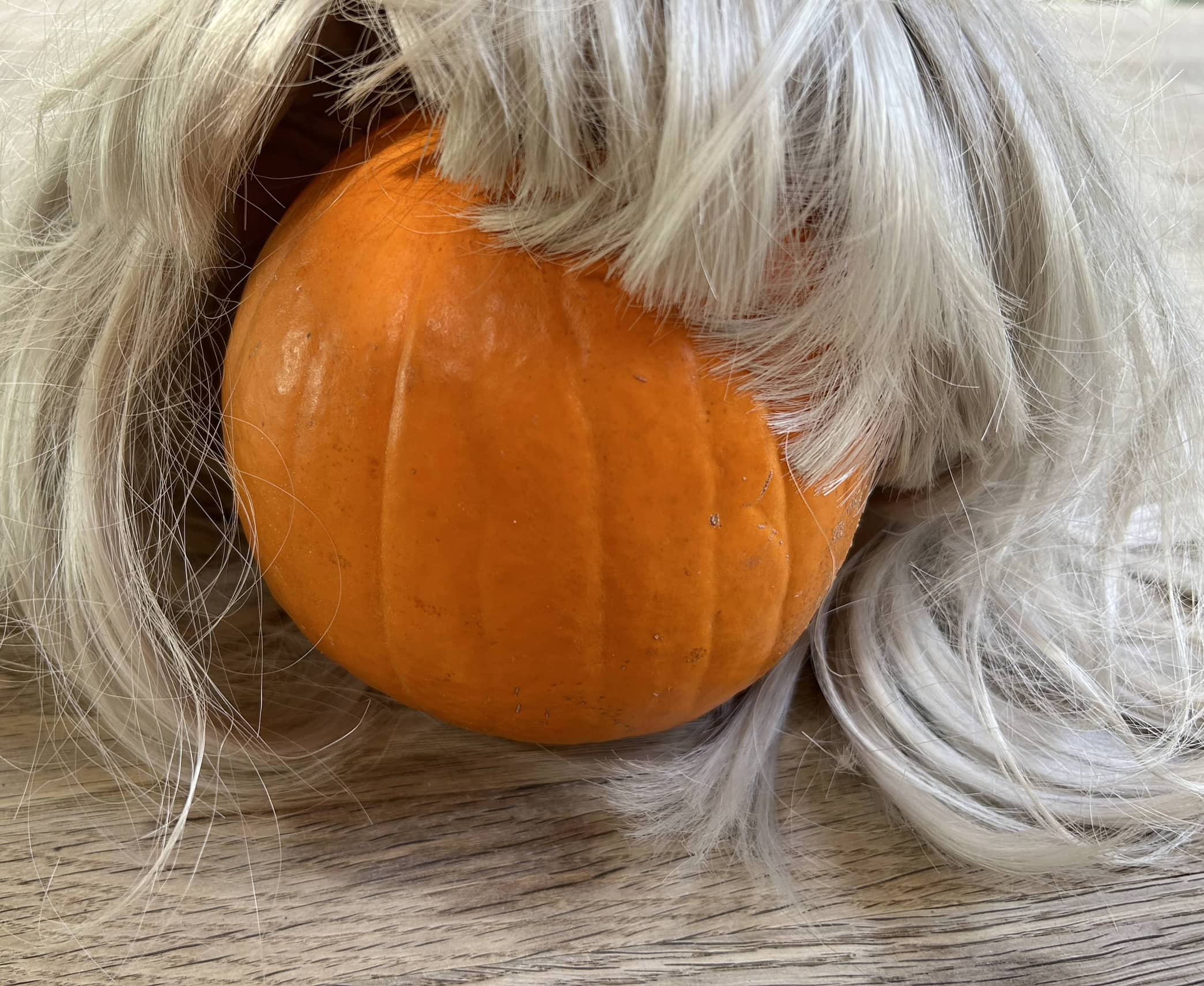 Short Blonde Wig with Bangs (Pre-Loved)