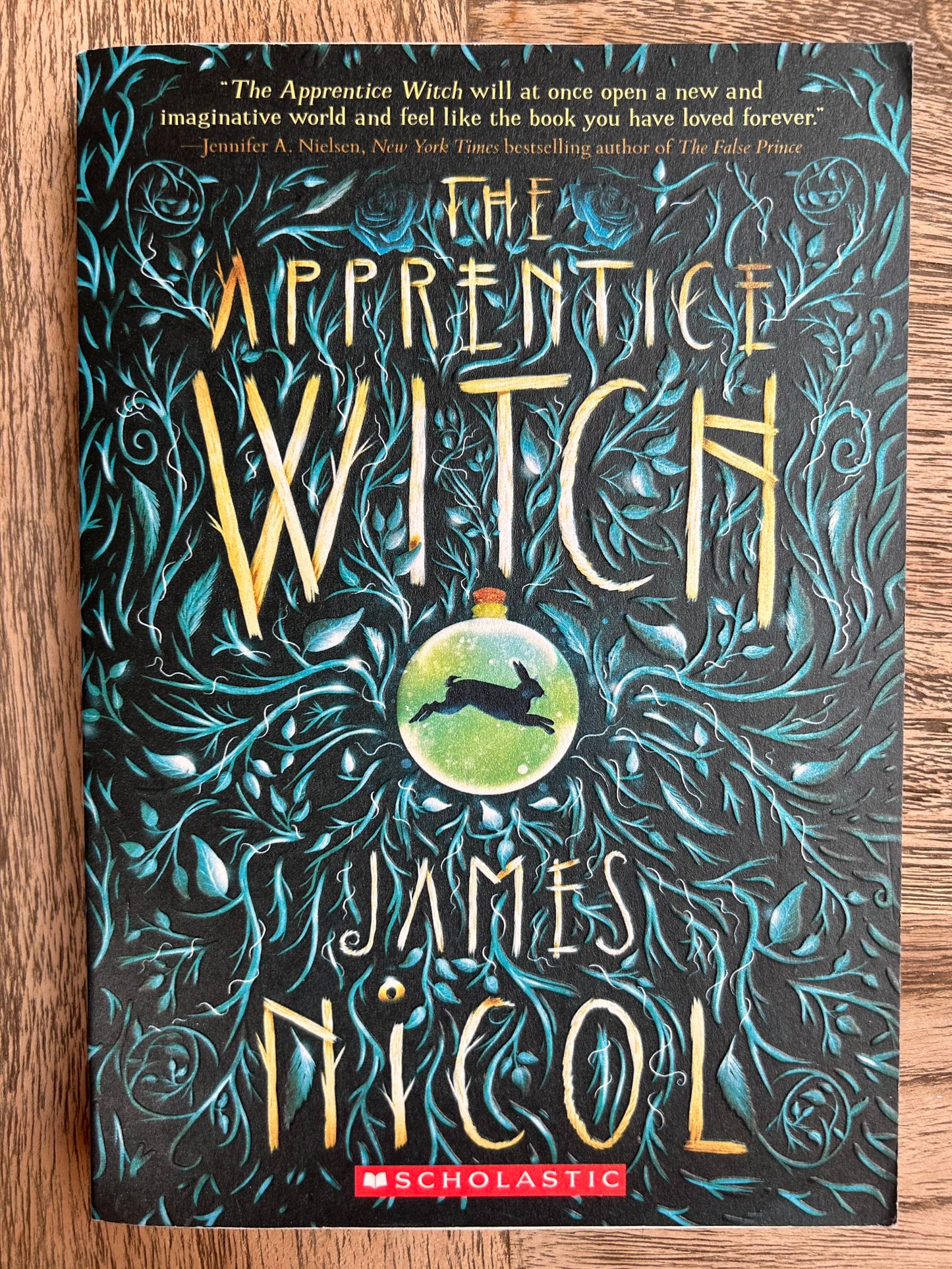 The Apprentice Witch - James Nicol