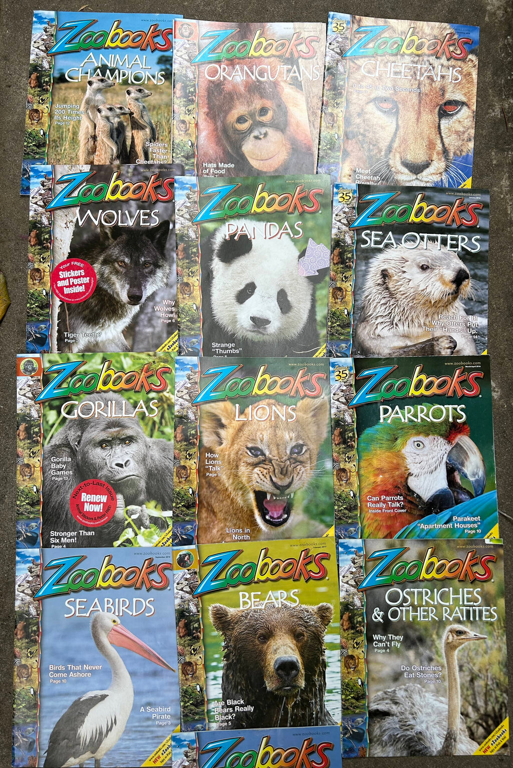 Collection of Zoo Books Magazines (Pre-Loved)
