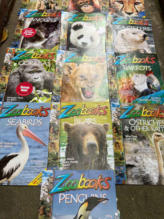 Collection of Zoo Books Magazines (Pre-Loved)