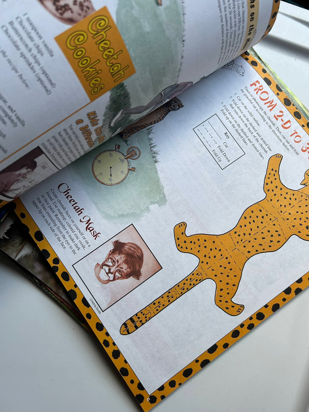 Collection of Zoo Books Magazines (Pre-Loved)