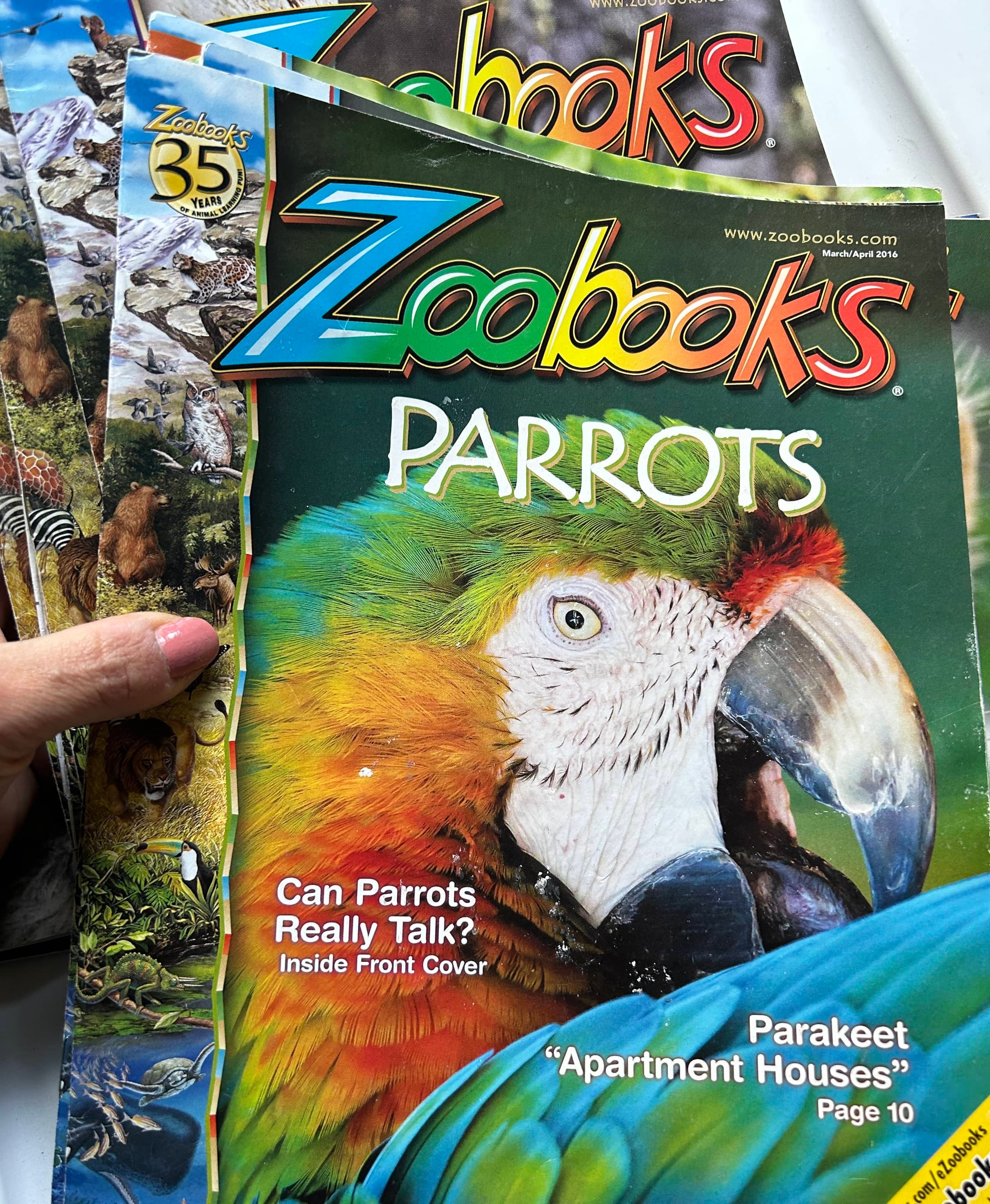 Collection of Zoo Books Magazines (Pre-Loved)