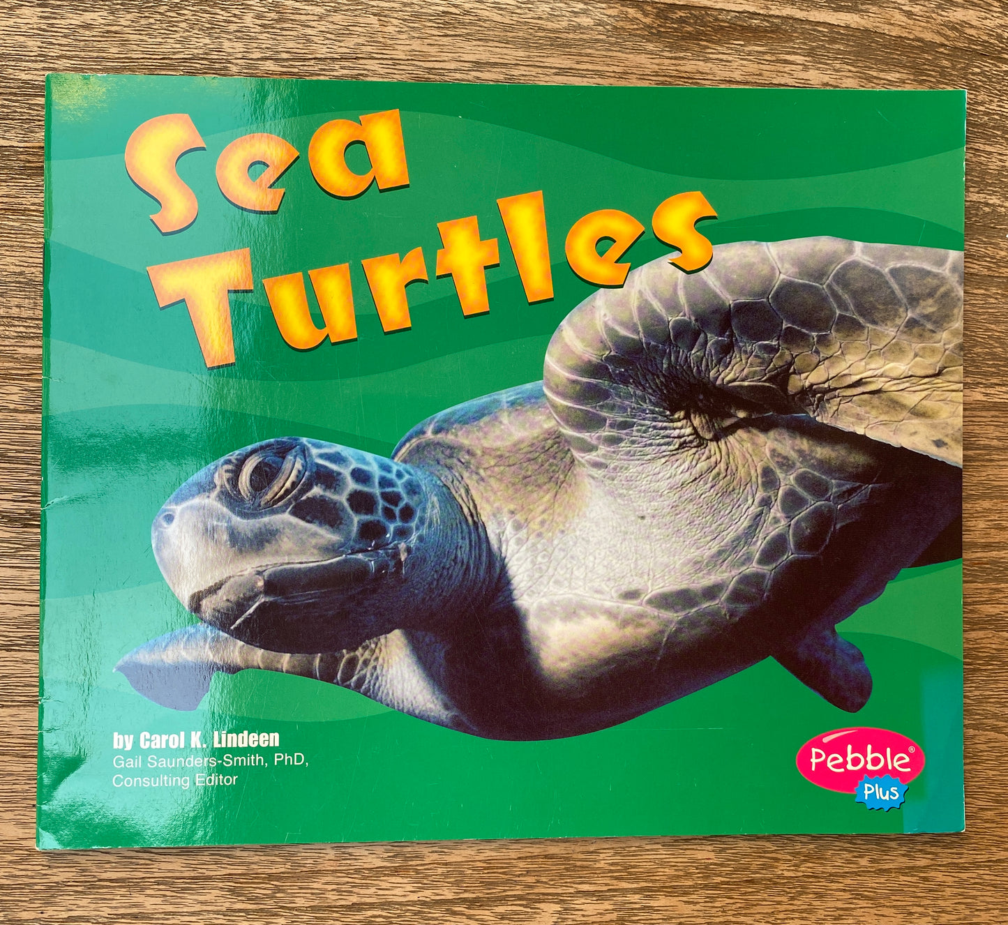 Sea Turtles